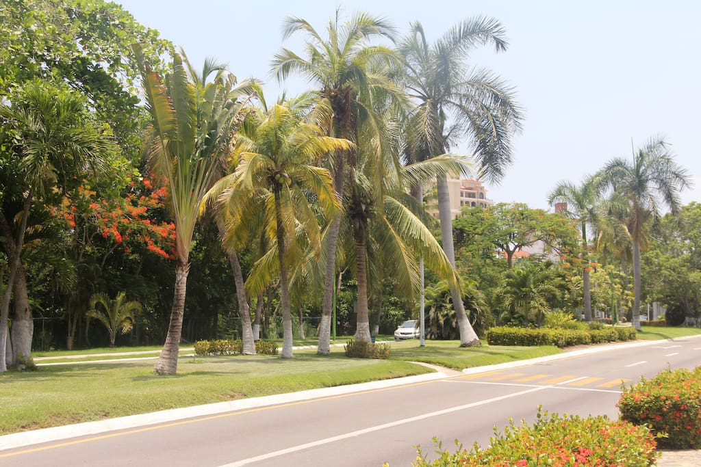Circulando por el Boulevard Paseo de Ixtapa, pasando El Barceló.