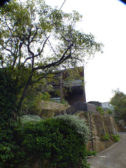 The house