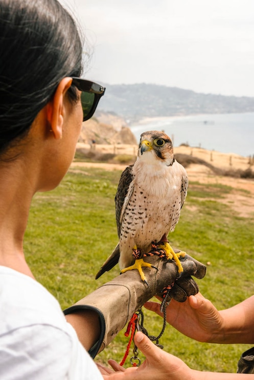 Показать полноэкранное фото от хозяина