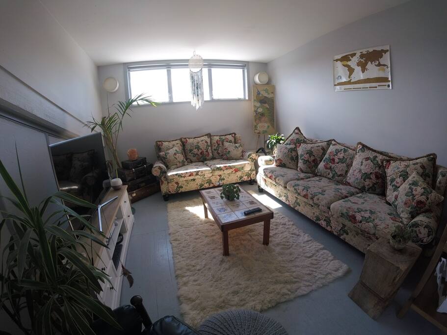 Cosy Living Space