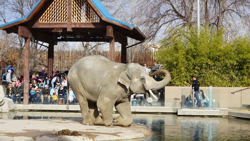 Photo of Denver Zoo in City Park