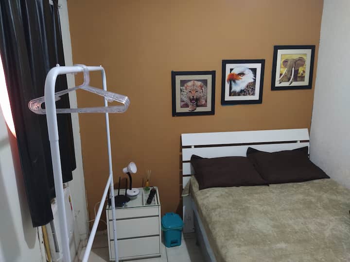 Habitación disponible, guacamaya y mesita junto a la cama 