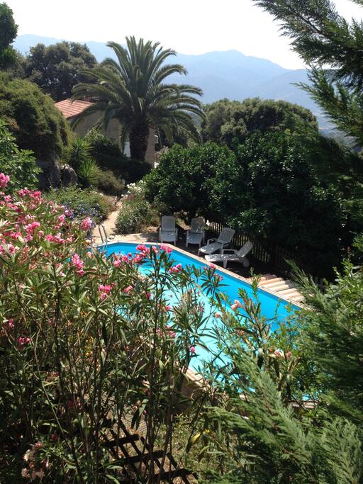 PISCINE HORS SOL GALLION
