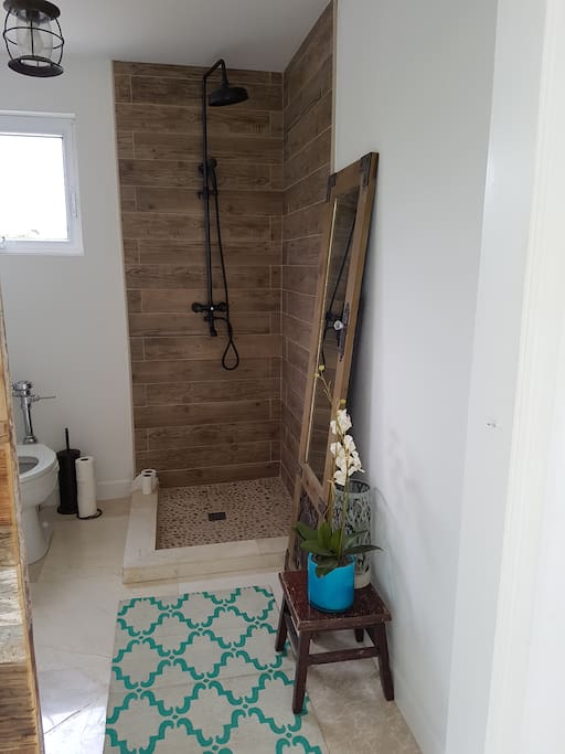 Downstairs restroom and shower