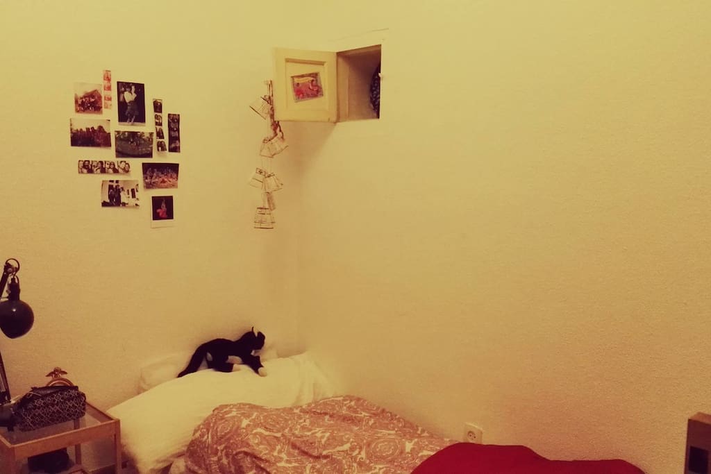 la habitacion / the room