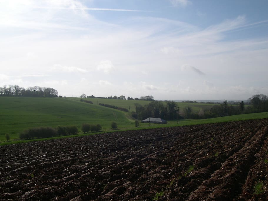 View of Dines Barn from the North