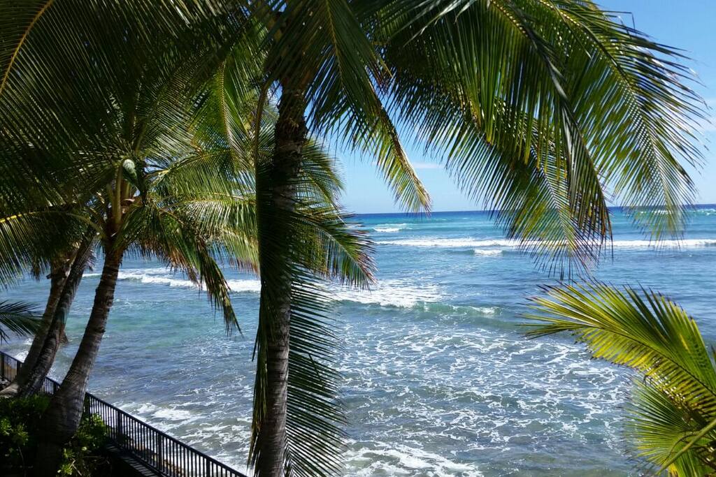 Wakeup to this!