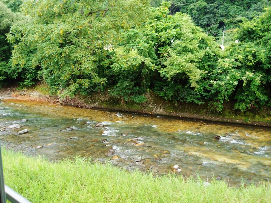 river just outside of window
