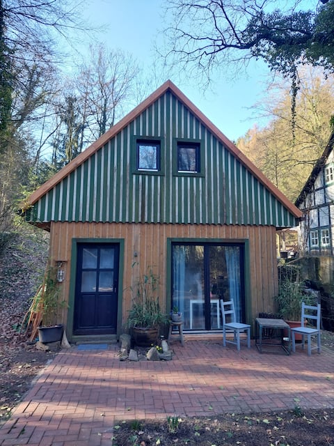 Forest house by the mill pond