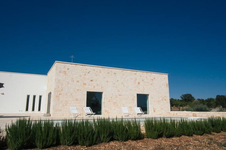 Il Ramarro (The Green Lizard) gallery image 5