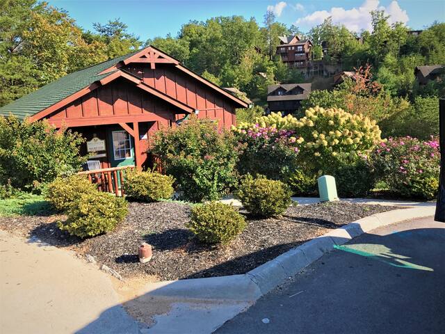 Next to Dollywood/rustic modern cottage/hot-tub