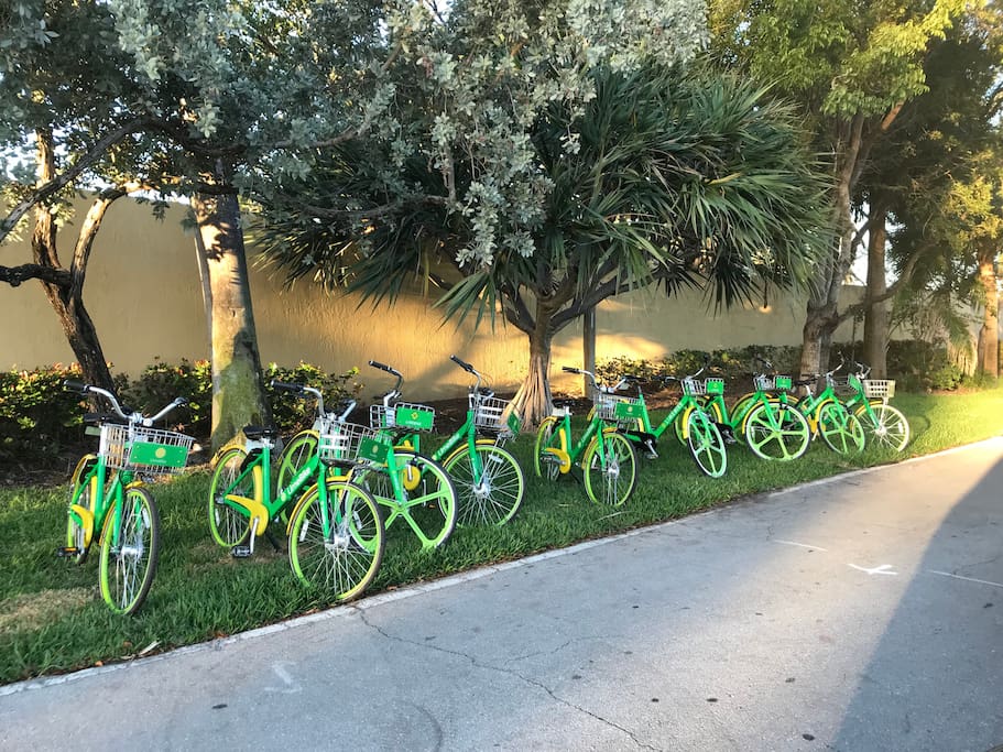 Lime Bikes Located Next To The Island Security Gate