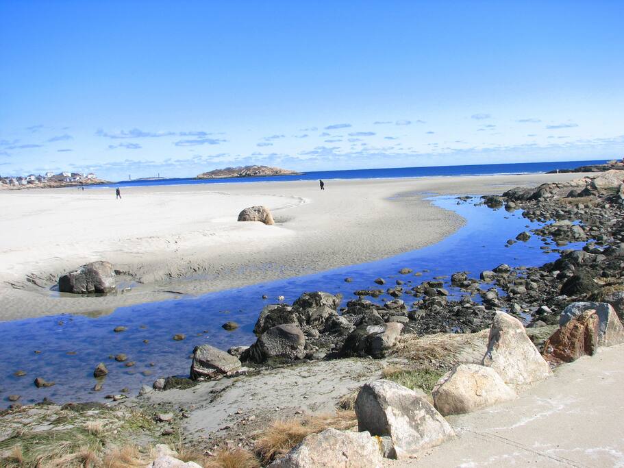Garden by the Sea-Walk to Nearby Good Harbor Beach