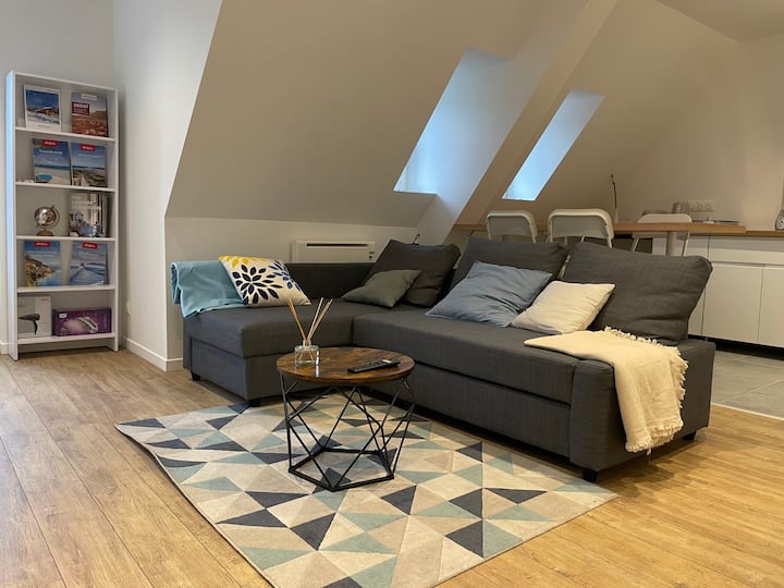 (6) Apartment in the center of Strasbourg Apartments for Rent in