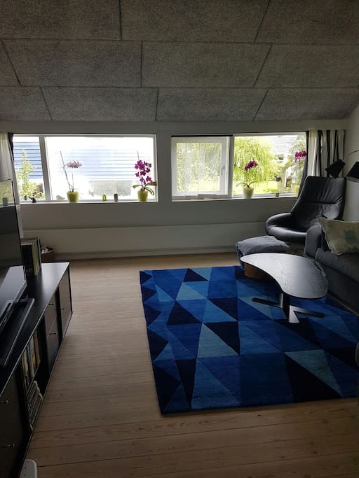 Stue 1. Sal med mulighed for 1 opredning