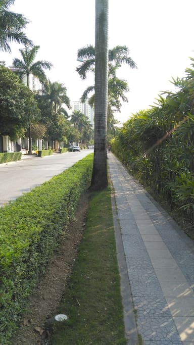 Green, quite and safe. Residential area.