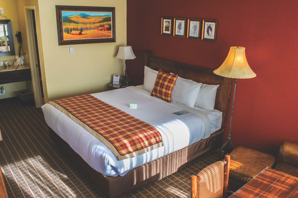 Single King Bedroom