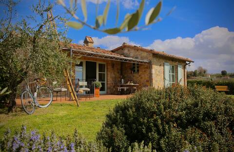 Your Tuscan oak tree house, enchanting Val d'Orcia