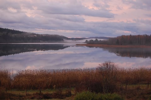 La Maison du Lac : Gîte Fleur d'Eau