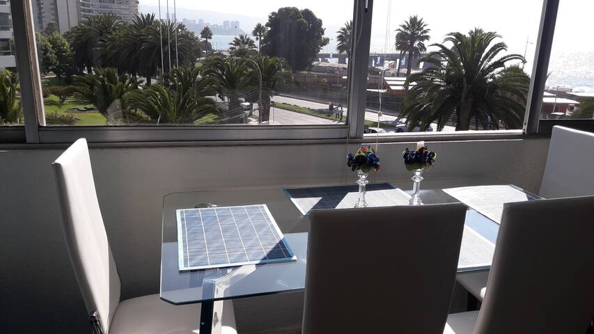 Living the magic of Viña del Mar in front of the sea