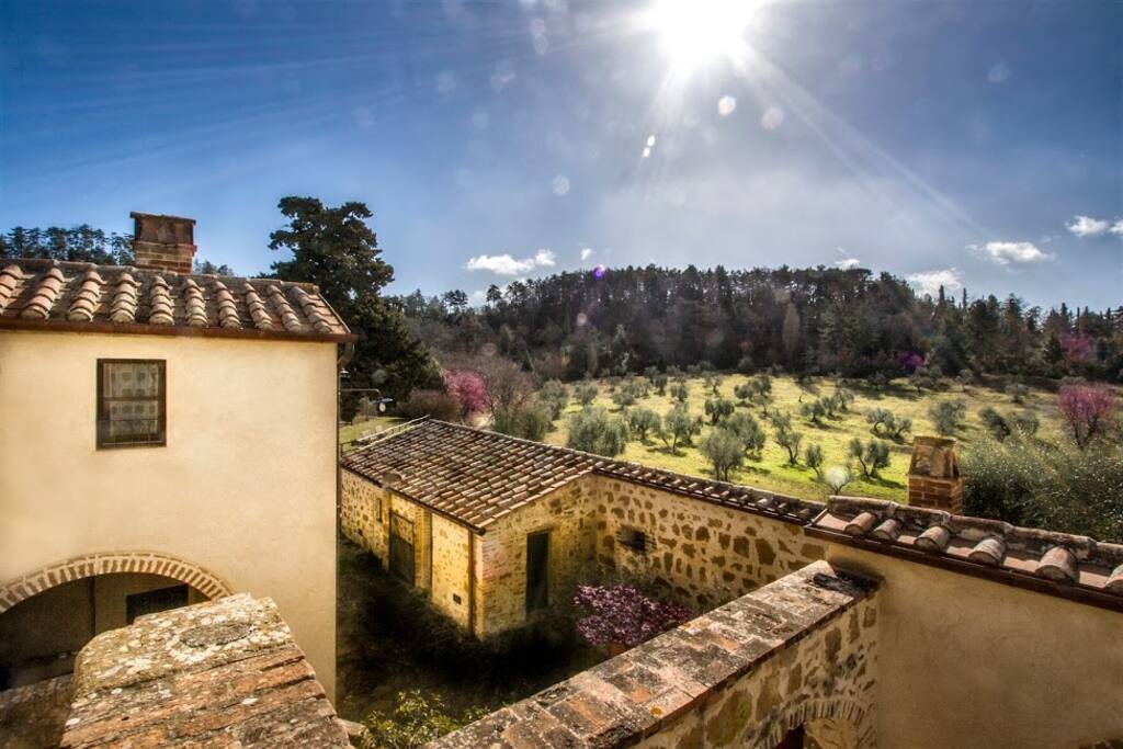 Cavarciano Apt 5 - Panoramic view