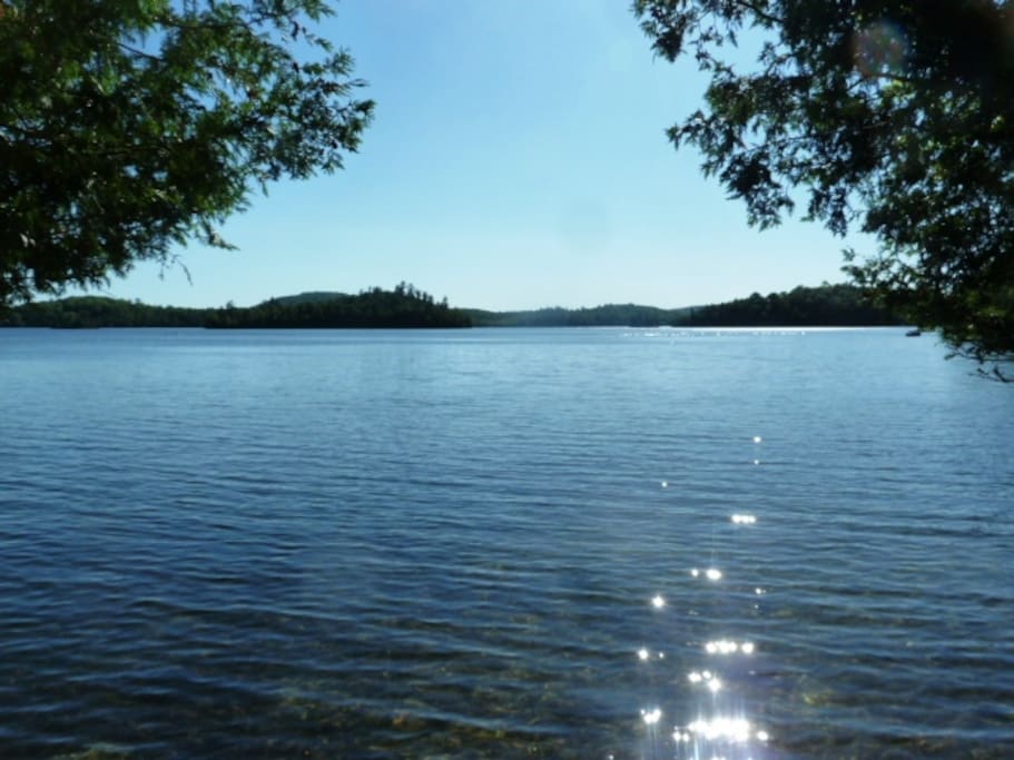 Shoreline view