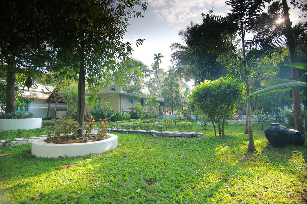 Garden