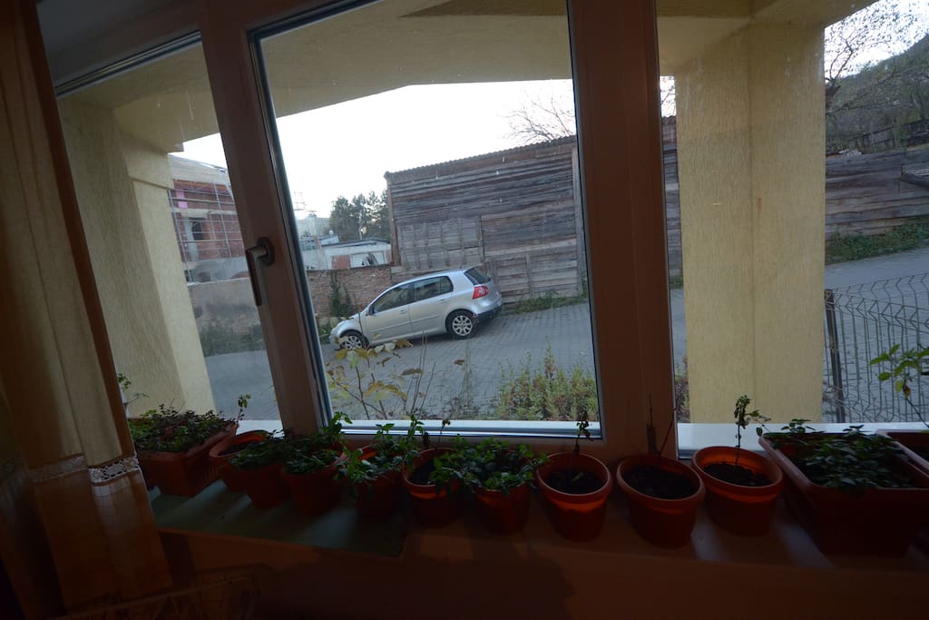 The view outide the window.