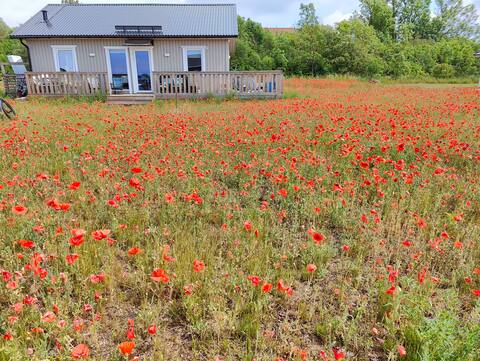 Öland house near swimming and nature