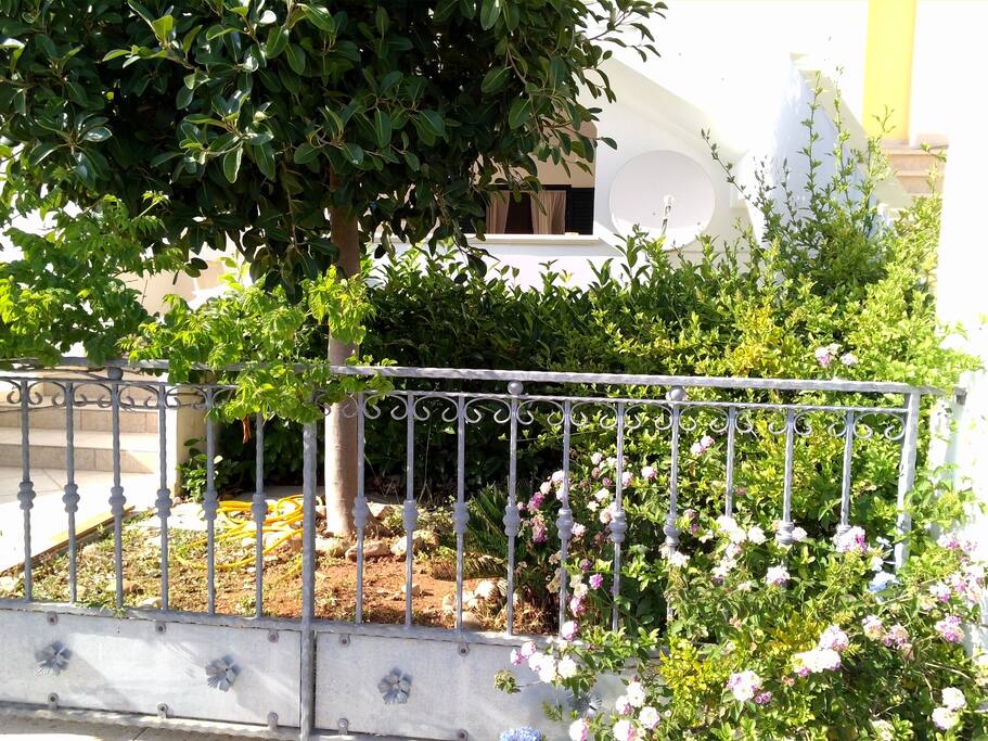 Giardinetto di pertinenza antistante l'appartamento