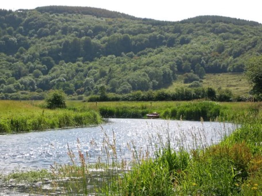 River Fergus