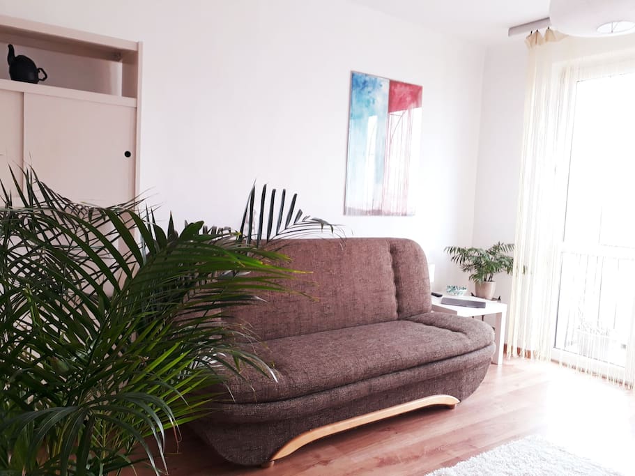 Living room with sofa bed, night table and lamp, TV and working table surrounded by plants.