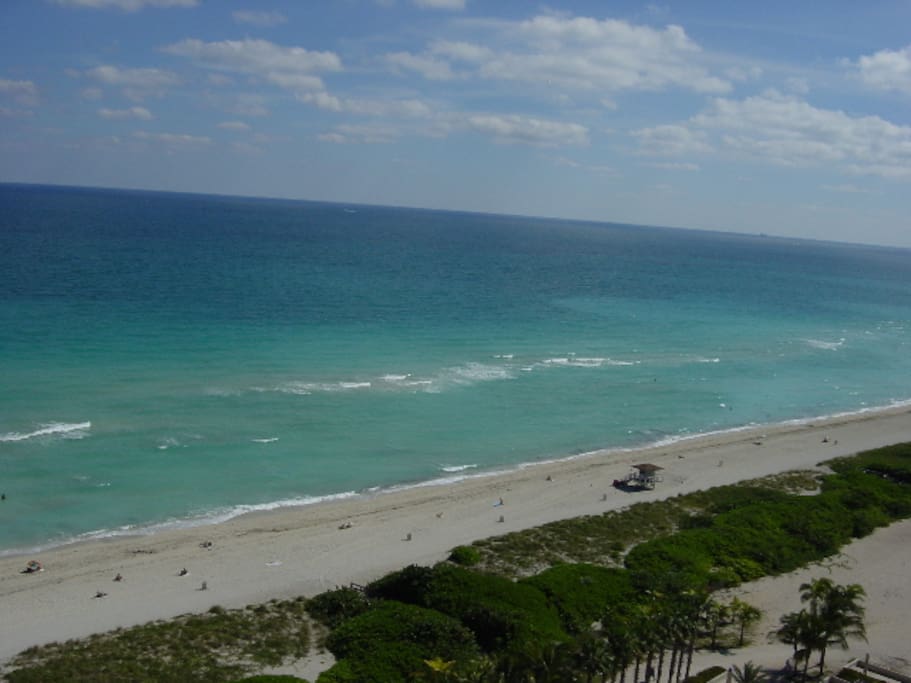 Drone image of local beach