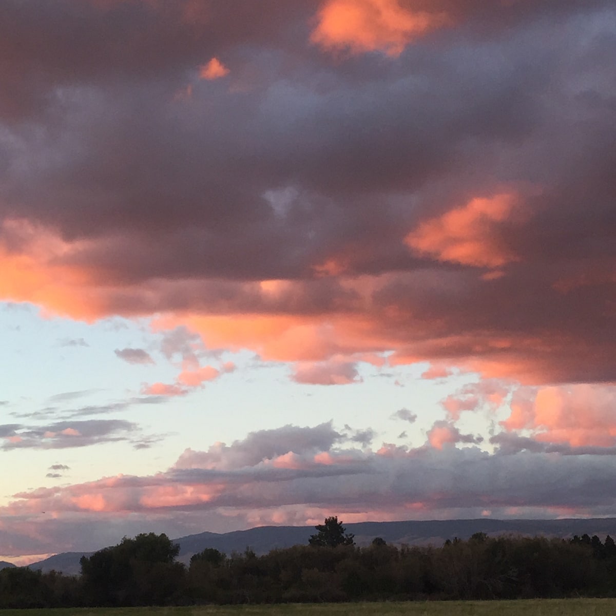 A colorful sky is depicted, featuring soft pink and orange hues among varying shades of gray clouds. The distant mountains provide a serene backdrop, with a subtle contrast against the vibrant sky. The grassy foreground completes the tranquil landscape.