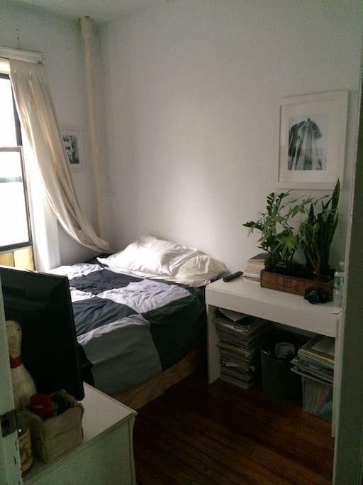 Room For Rent York Village Room For Rent York Village