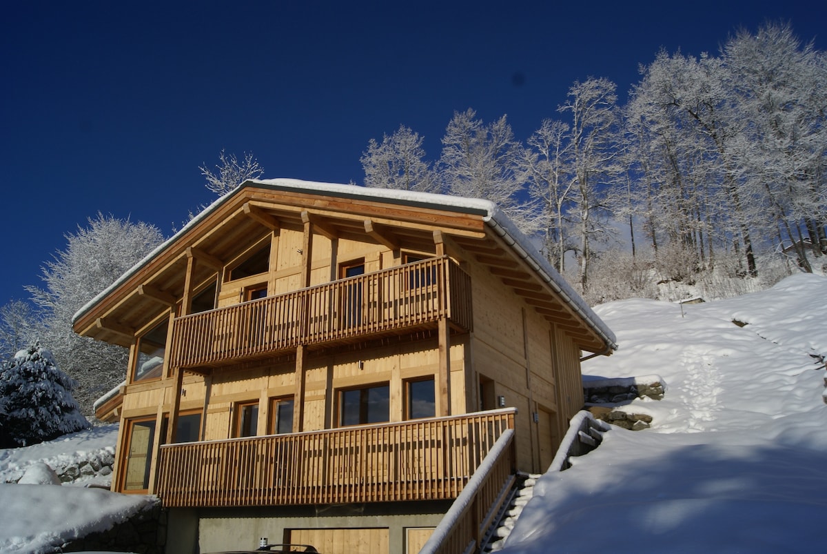 A modern chalet is showcased with a wooden exterior, complemented by multiple balconies and large windows. The snowy landscape surrounds the structure, with frosted trees in the background under a clear blue sky. Steps lead up to the entrance, enhancing the welcoming appearance.