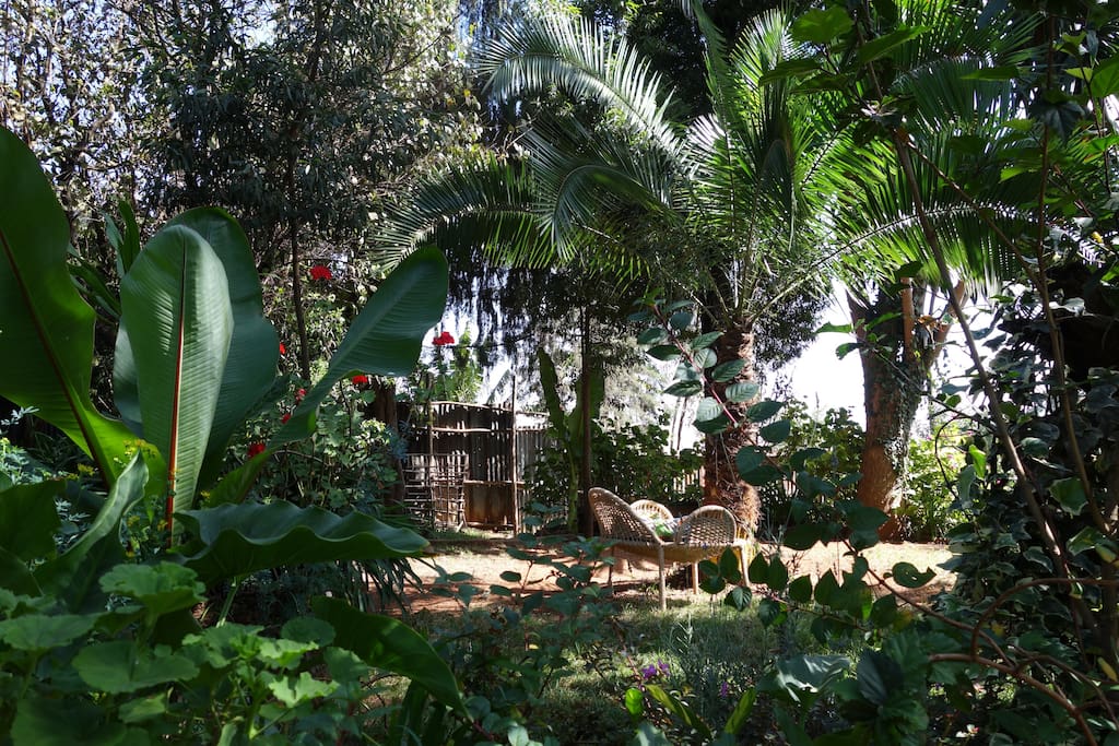 garden (in the dry season) where you can relax in a lounge chair
