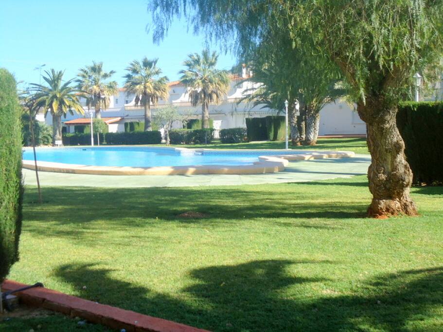 Vue de la piscine du jardin
