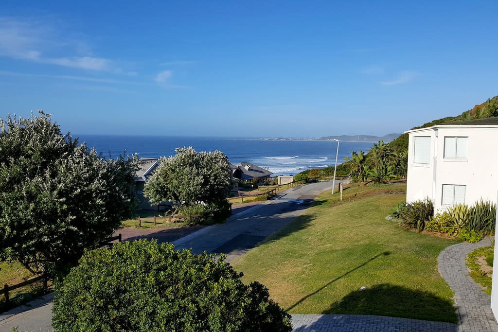 View from the patio