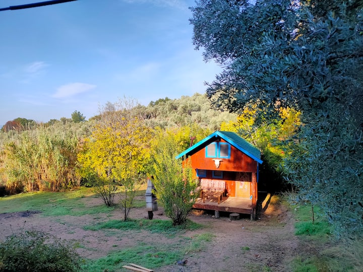 İzmir bölgesinde tatil için kiralık dağ evleri - Türkiye | Airbnb
