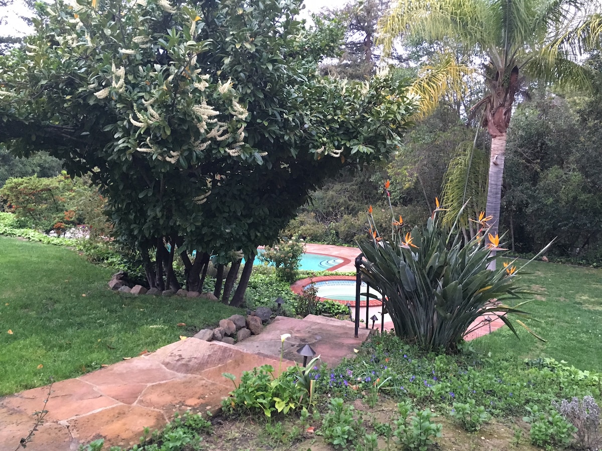 A well-maintained garden pathway leads to a pool area surrounded by lush greenery. Tropical plants and vibrant flowers add color to the landscape, while a variety of trees provide shade. The tranquil setting invites relaxation with the pool visible in the background.