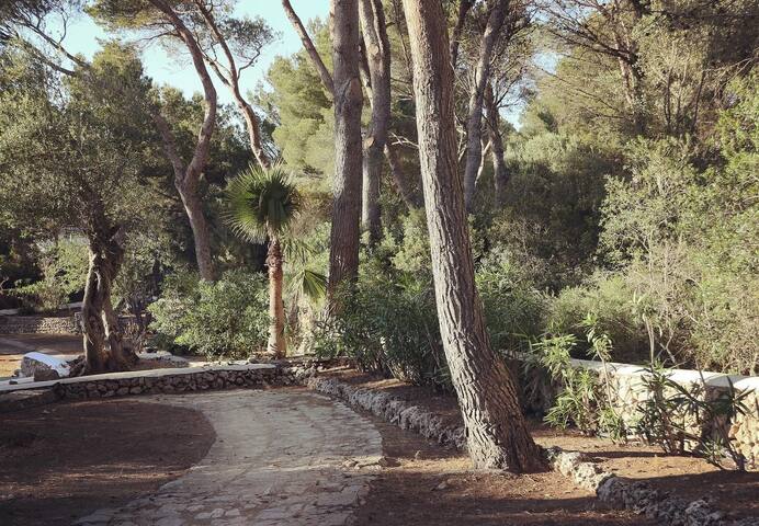 Luxury villa 6 bedrooms, pool, 2 min/beach/golf gallery image 3