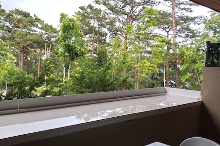 Inside Camp John Hay, Best place to stay in Baguio