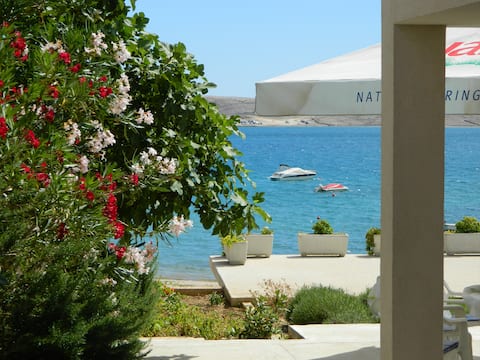 Top Airbnb: Nice, cosy, blue apartment, Vidalici, Novalja in Vidalići