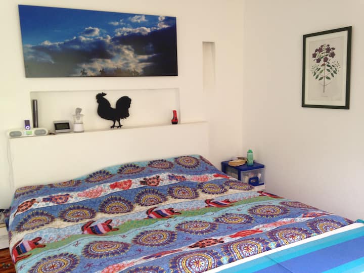 ٠٠/١٠-٠٠/١٣ جلسة