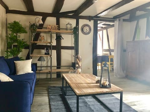 Popular Airbnb listing: Under the roofs of Zinc "Air-conditioned" in Colmar