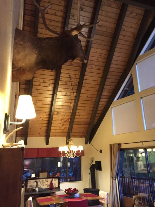 Moose Albert overlooks activities