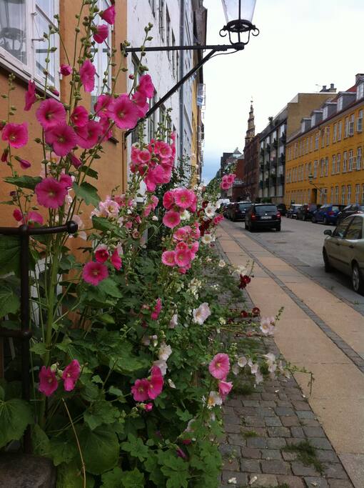 Street