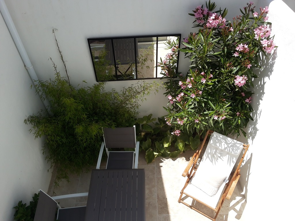 A well-lit outdoor courtyard features a wooden table and chairs surrounded by lush greenery. A comfortable lounge chair is positioned nearby, offering a peaceful spot for relaxation. A mirror reflects the vibrant plants, enhancing the serene atmosphere.