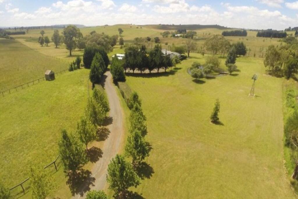 treelined drive